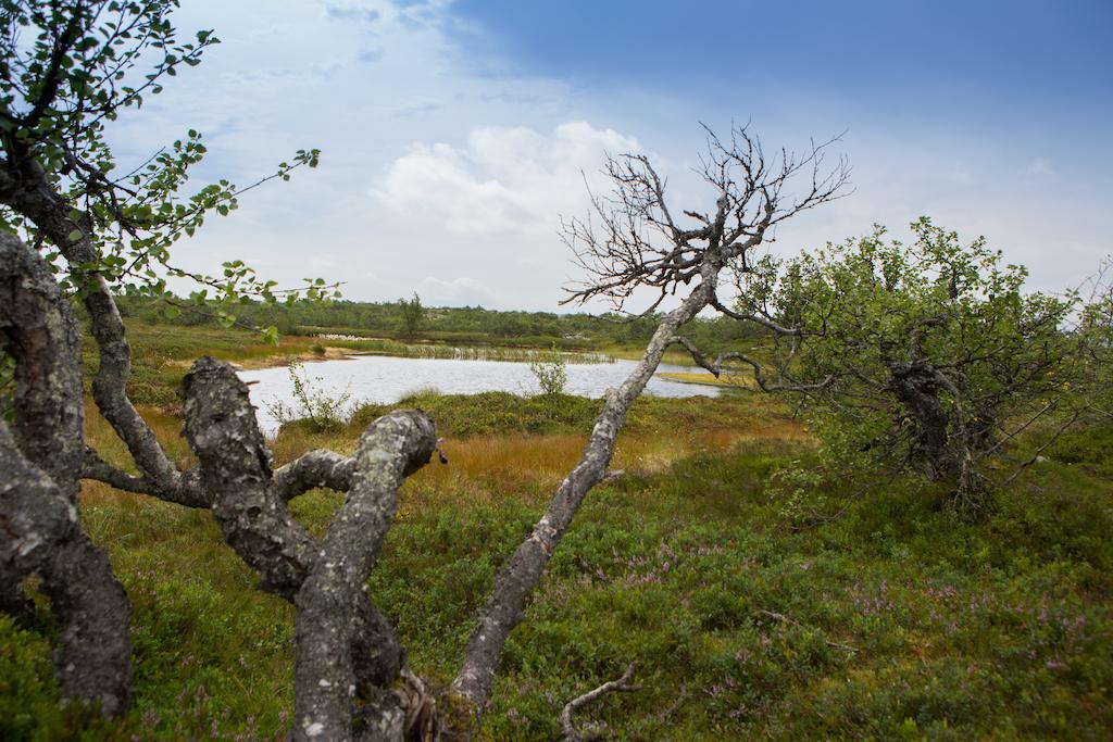 Hostel Fulufjaellsgarden Mörkret Exteriér fotografie
